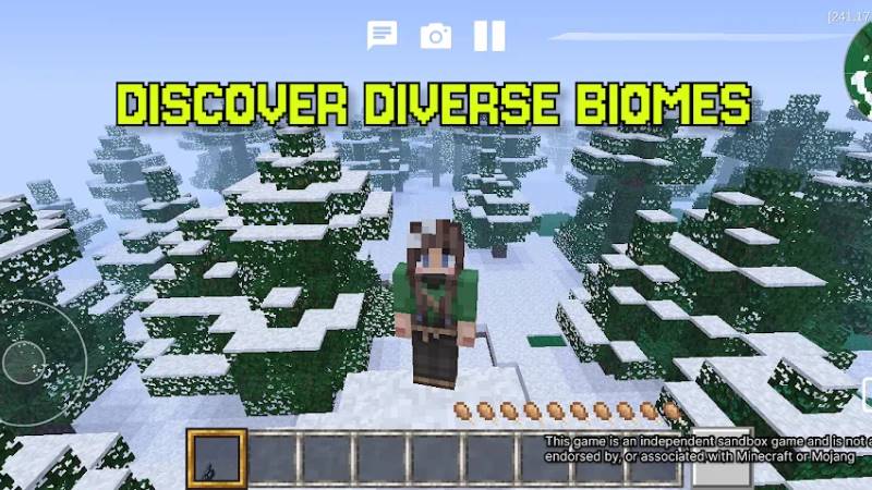 Tính năng Minicraft - Craft & Build MOD APK